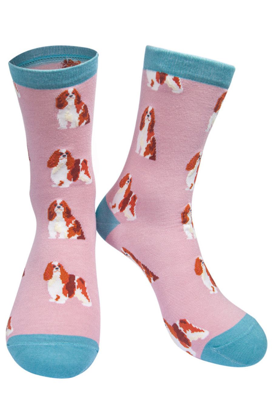 pink and blue bamboo socks with a pattern of king charles spaniels on them