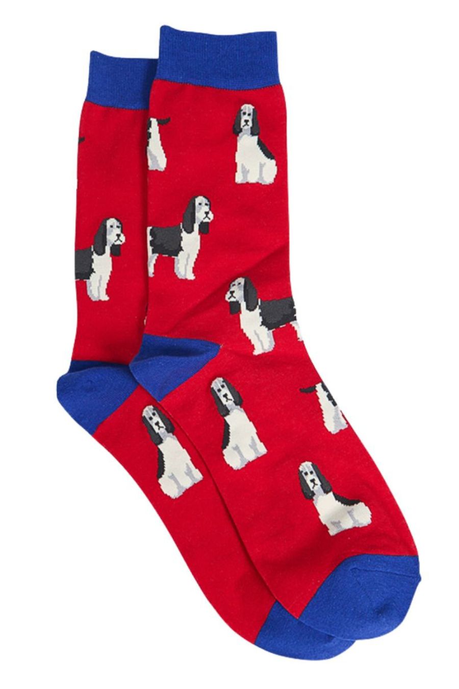 red, blue dress socks with spaniels