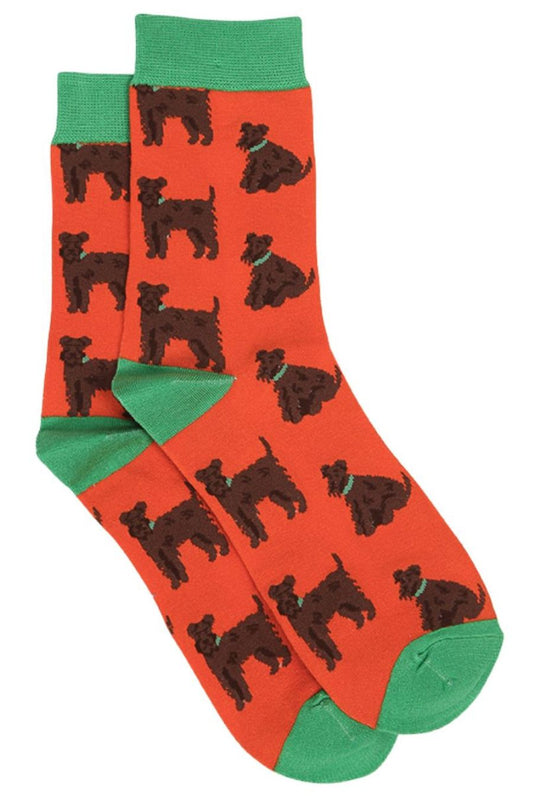 orange, green dress socks with schnauzer dogs on them