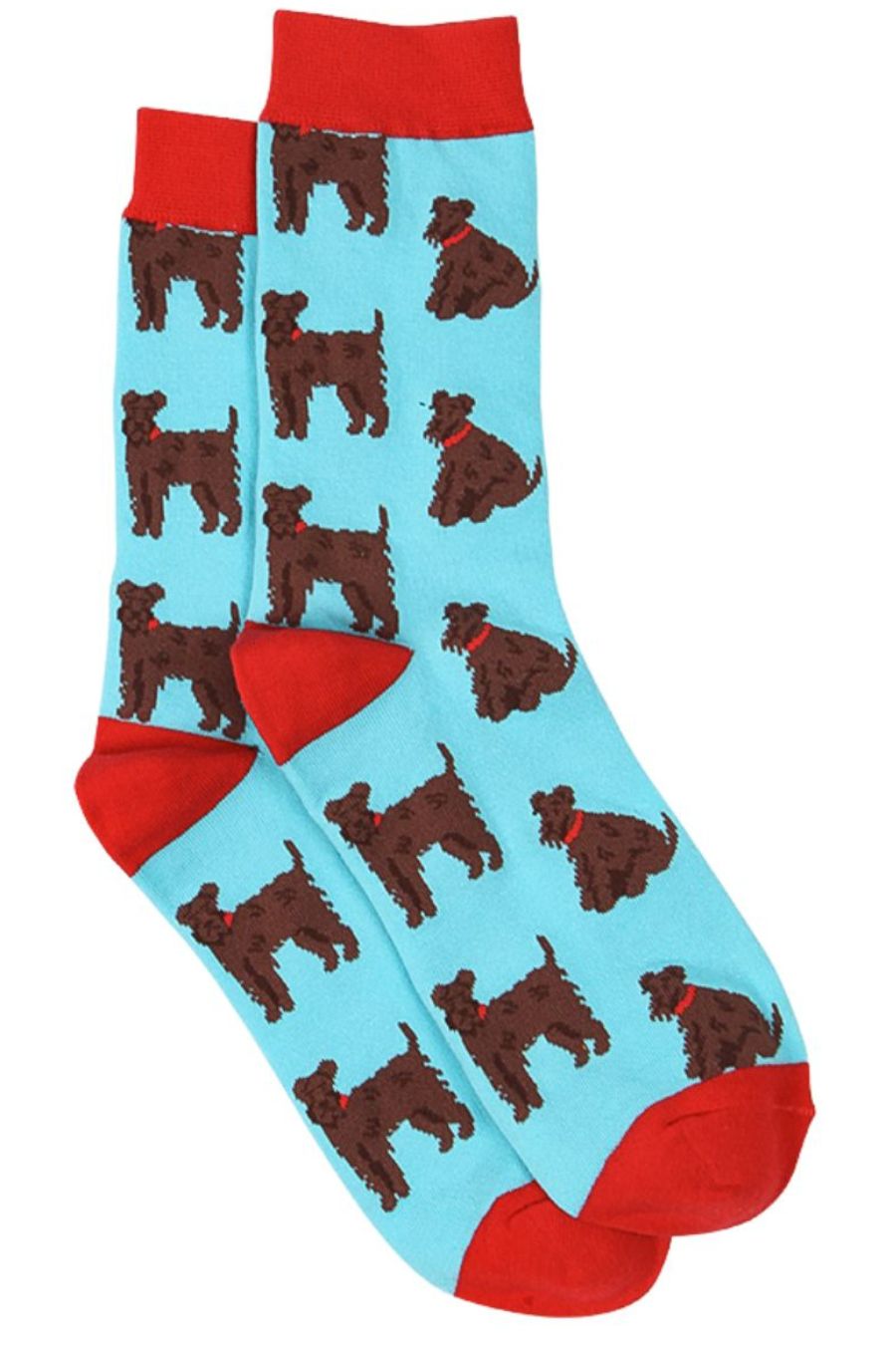 blue, red dress socks with schnauzer dogs on them