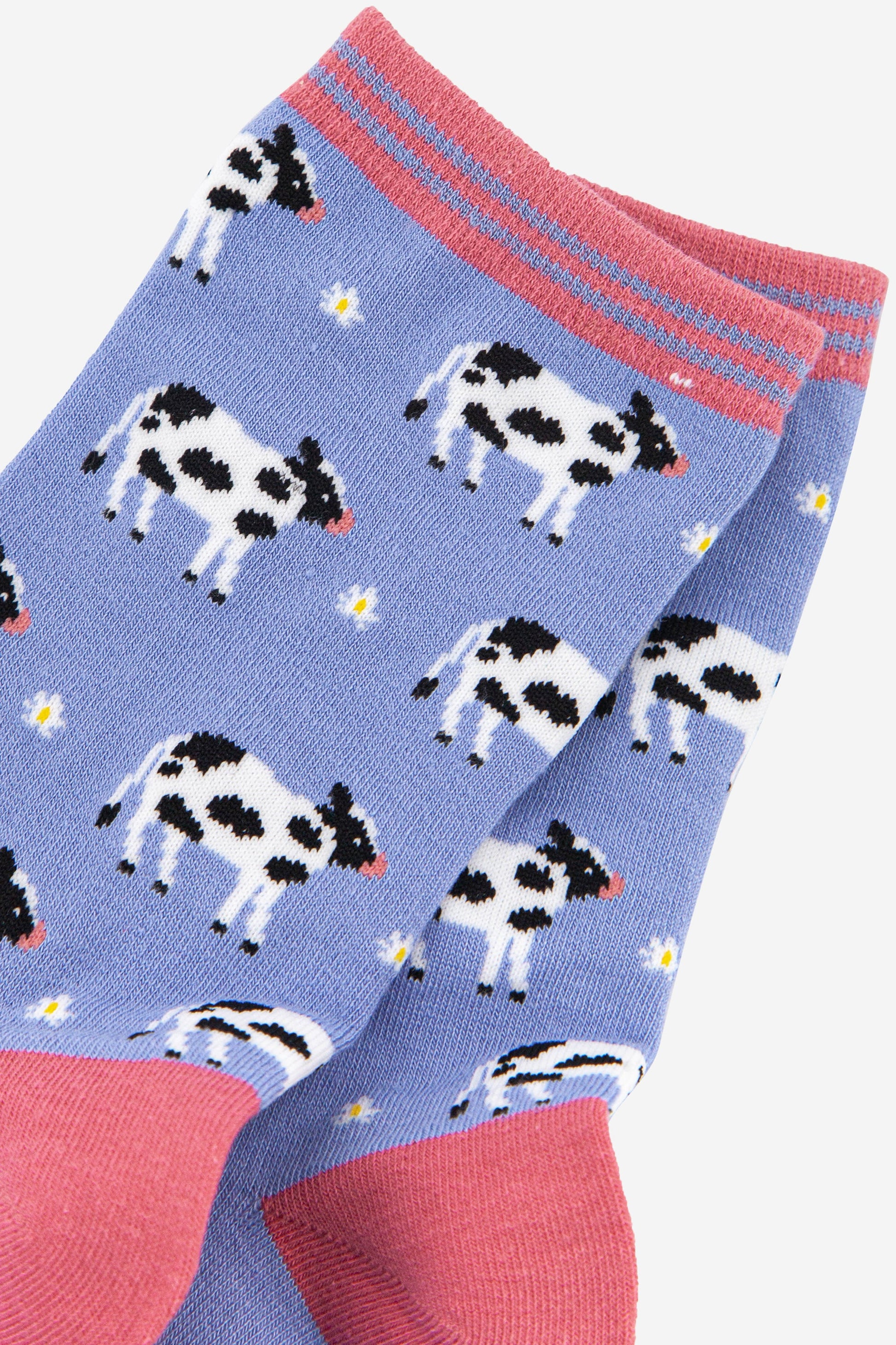 close up of the black and white cows and daisies on the lilac socks