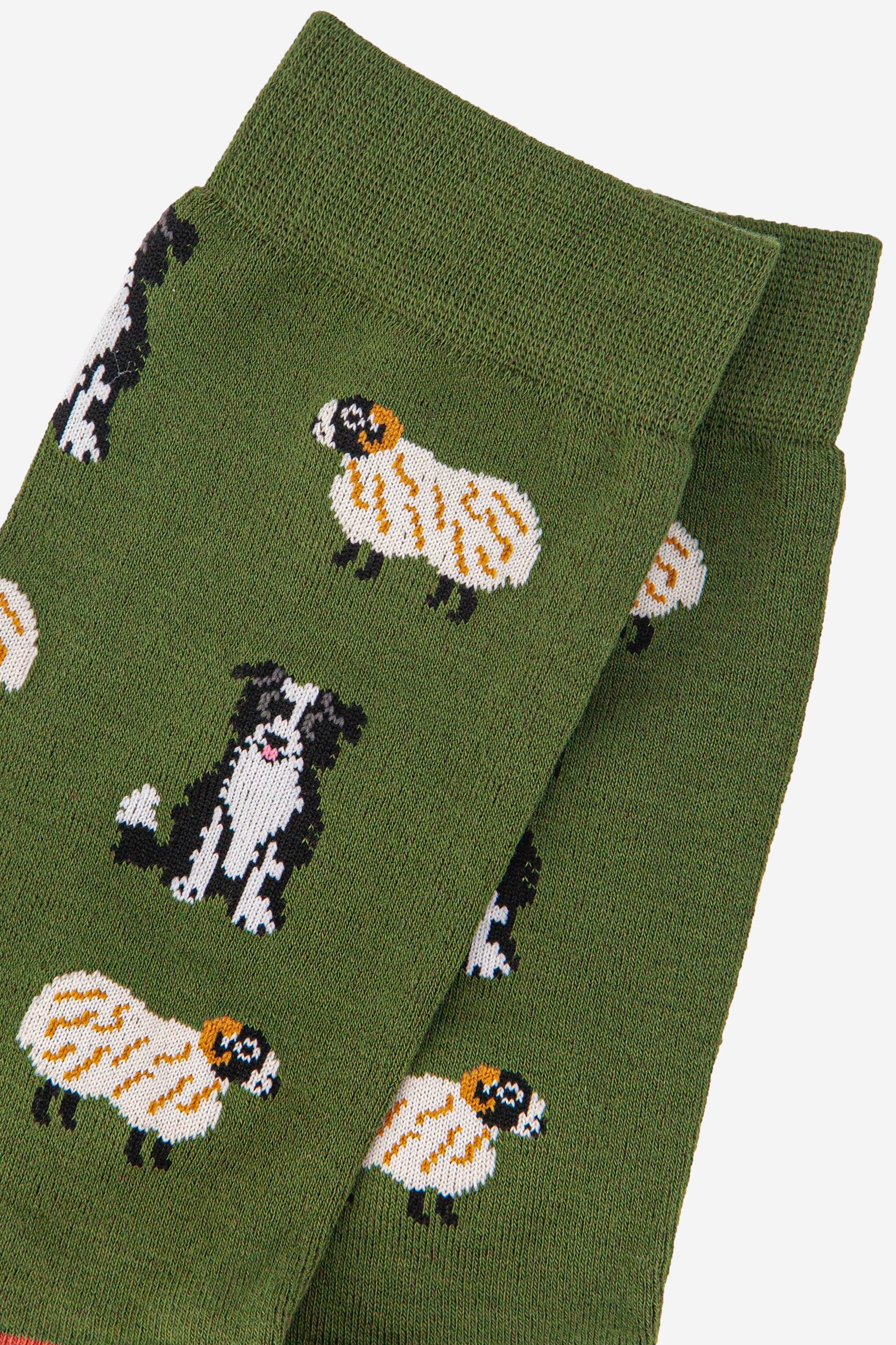 close up of the sheep and sheepdog design on the socks